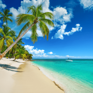 Saona Island Tour Catamaran