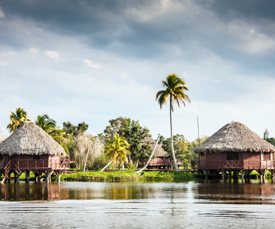 Excursión a Guamá-Punta Perdiz - Imagen 2