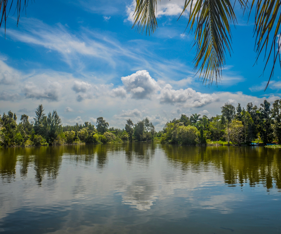 Excursión a Guamá-Punta Perdiz - Imagen 5