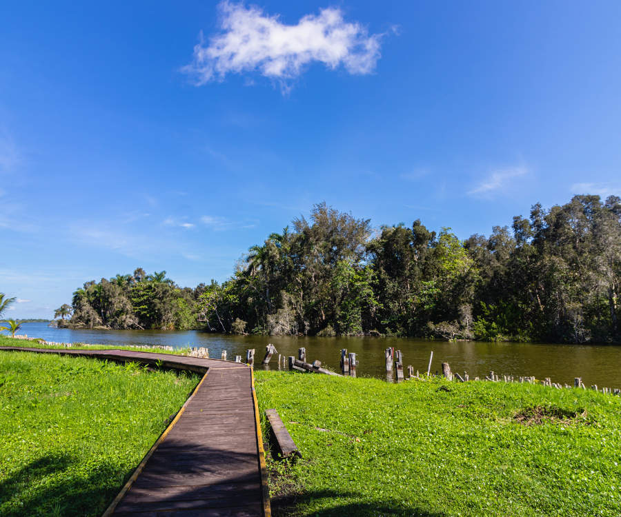 Excursión a Guamá-Punta Perdiz - Imagen 7